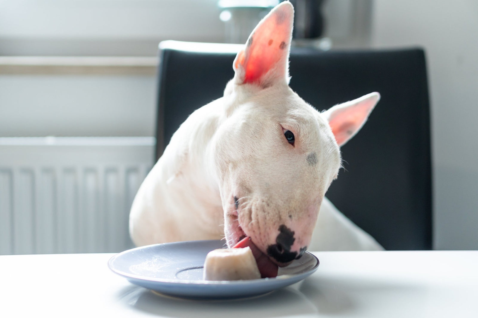 DIY Peanut Butter & Banana Ice Cream for Dogs