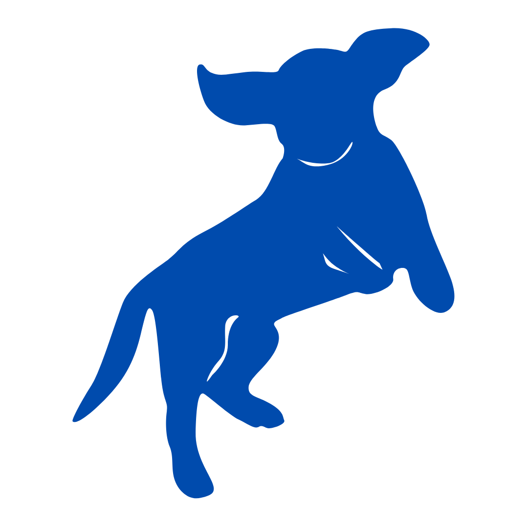 Blue silhouette of a playful dog leaping with ears flapping, symbolizing pet activity and health.