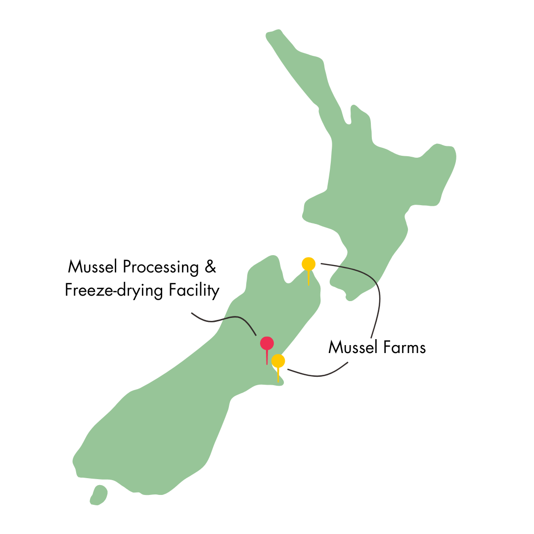Map of New Zealand highlighting mussel farm locations and a mussel processing and freeze-drying facility.