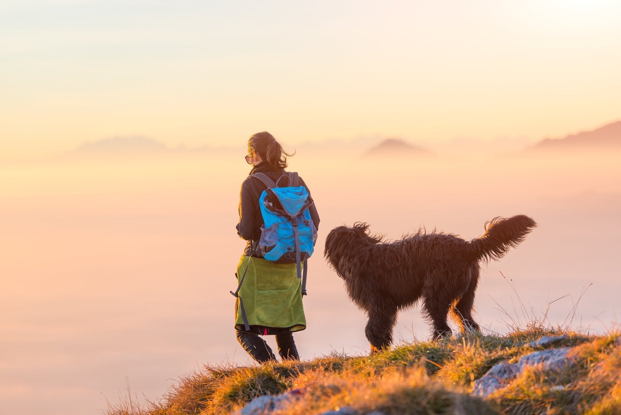 Woman on a hike on top of a mountain with her dog in New Zealand