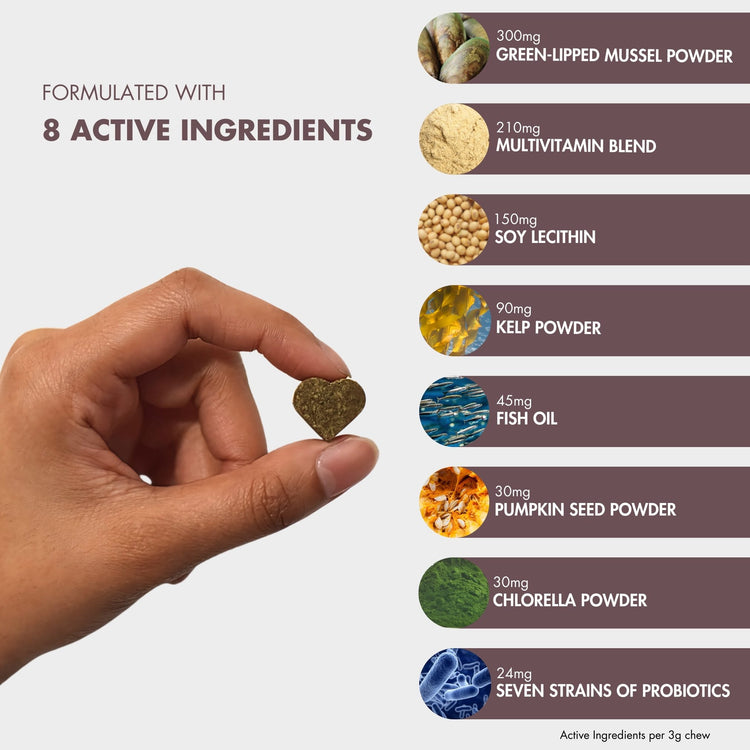 FlexiPaw Multivitamin Chews for Dogs - Hand Holding a heart shapped Chew with 8 Active Ingredients: Green-Lipped Mussel Powder, Multivitamin Blend, Soy Lecithin, Kelp Powder, Fish Oil, Pumpkin Seed Powder, Chlorella Powder, and Probiotics