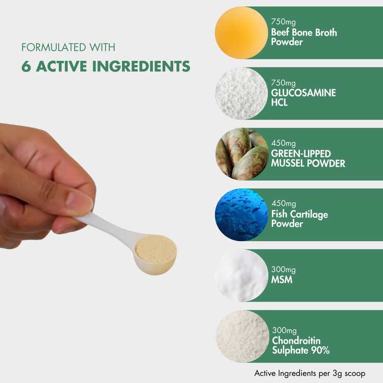 Ingredients of FlexiPaw Joint Health Powder for Dogs, showing 6 active ingredients: Beef Bone Broth, Glucosamine, Green-Lipped Mussel, Fish Cartilage, MSM, and Chondroitin Sulphate, with a scoop of powder. NZ dog supplements.