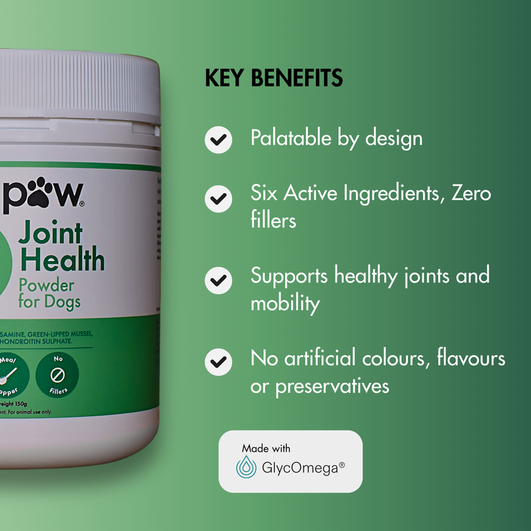 Key benefits of FlexiPaw Joint Health Powder for Dogs, highlighting palatable design, six active ingredients, joint support, and no artificial colors, flavors or preservatives. NZ pet health.