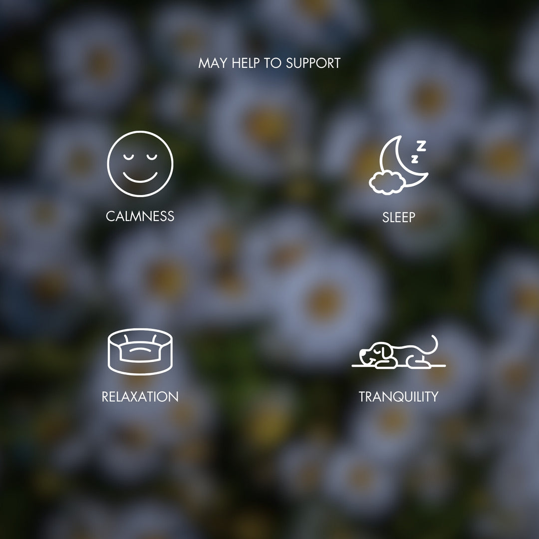 Background of blurred white flowers with a clear overlay detailing benefits of FlexiPaw Calm and Relax Chews for dogs, featuring icons and text promoting calmness, sleep, relaxation, and tranquility.