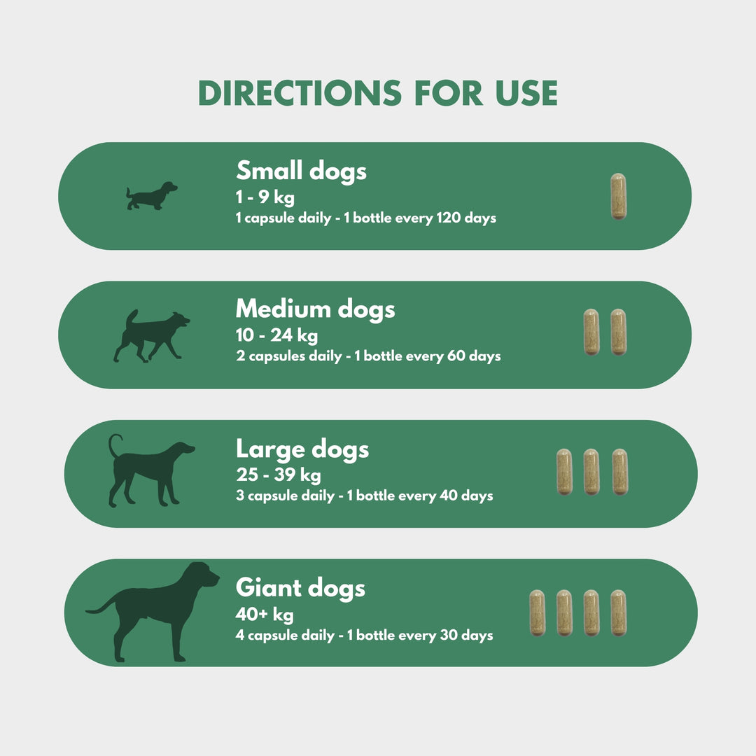 Dosage chart for FlexiPaw’s green-lipped mussel canine joint supplement, detailing capsule counts and bottle usage frequency for small (1-9 kg), medium (10-24 kg), large (25-39 kg), and giant dogs (40+ kg).