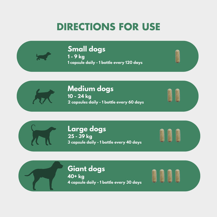 Dosage chart for FlexiPaw’s green-lipped mussel canine joint supplement, detailing capsule counts and bottle usage frequency for small (1-9 kg), medium (10-24 kg), large (25-39 kg), and giant dogs (40+ kg).