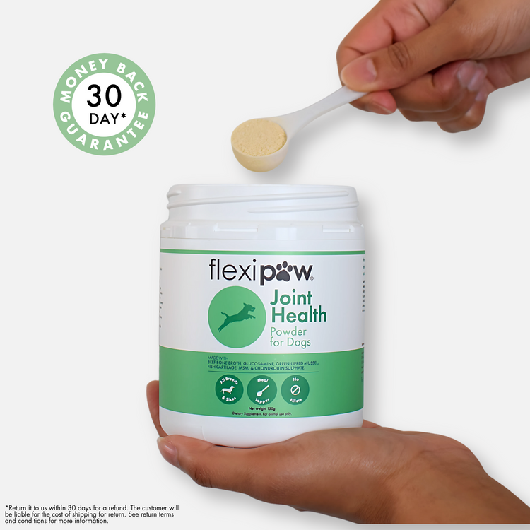 A hand holding FlexiPaw Joint Health Powder for Dogs, with a scoop of powder and a '30 Day Money Back Guarantee' seal. New Zealand dog health product.