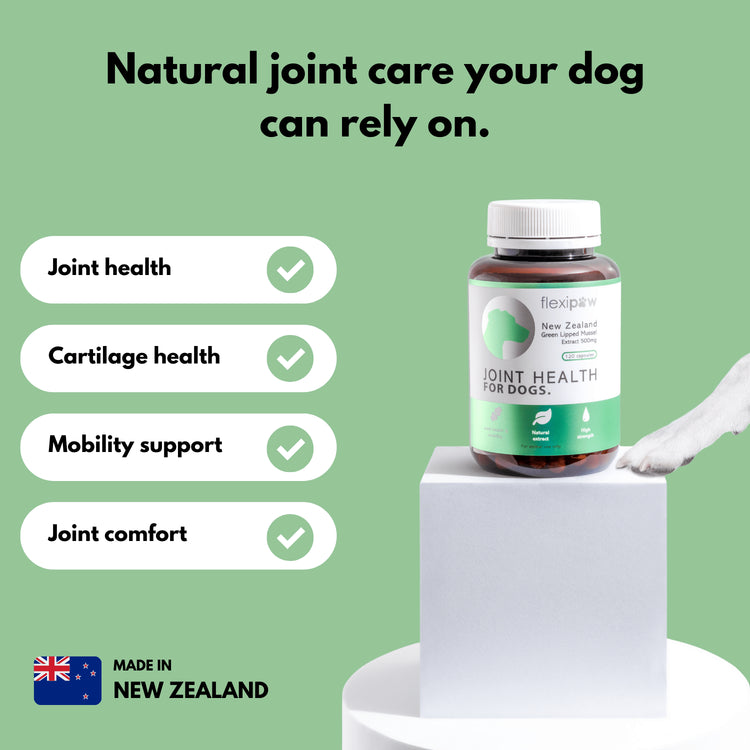 Bottle of FlexiPaw green-lipped mussel joint supplement on a small podium with a white dog paw. Text alongside stating the benefits of the product. 