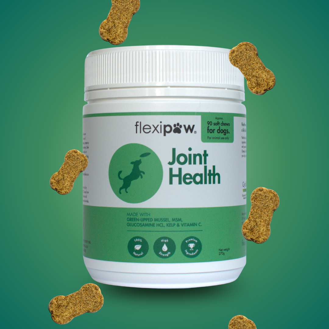 Bottle of FlexiPaw joint health soft chews for dogs surrounded by chews: Natural joint support supplement, shown in front of a green background.