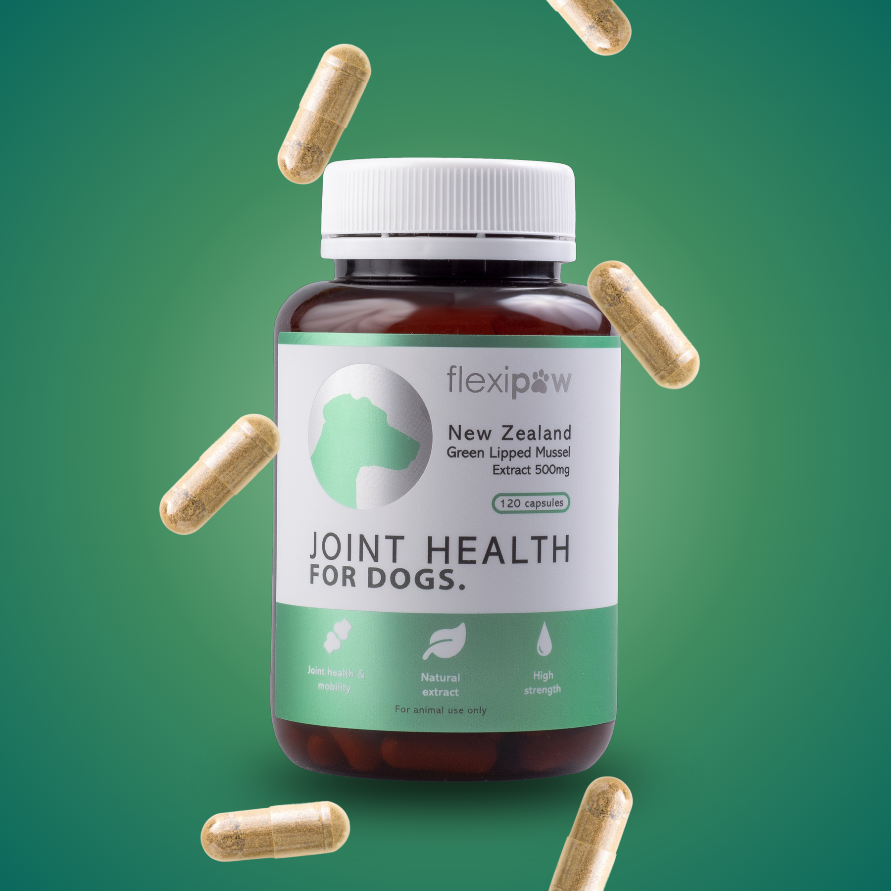 Green lipped sales mussel dog supplement