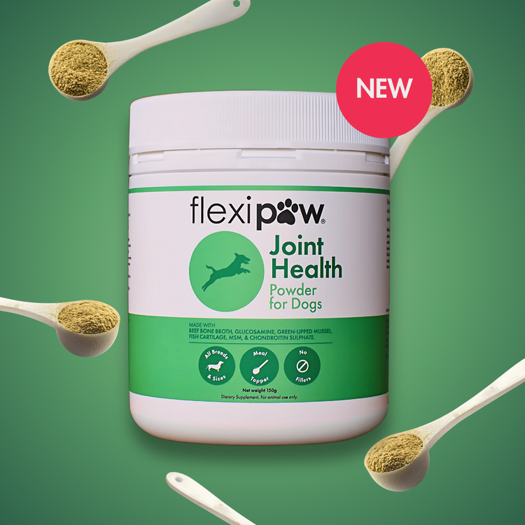 FlexiPaw Joint Health Powder for Dogs, a new supplement for all breeds and sizes, featuring a green and white tub with surrounding spoonfuls of the natural powder. NZ dog joint care.