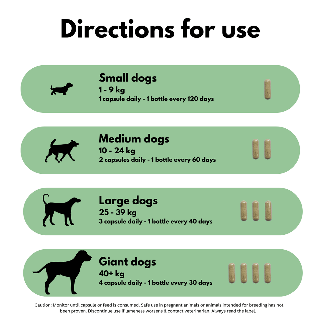 Dosage of Green lipped mussel for dogs - directions for use