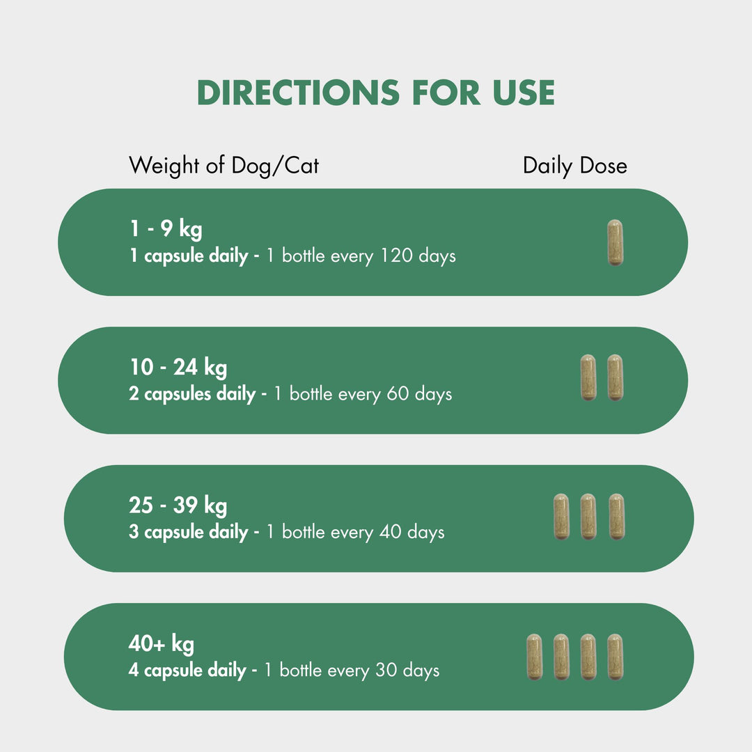 Dosage chart for FlexiPaw’s green-lipped mussel canine joint supplement, detailing capsule counts and bottle usage frequency for small (1-9 kg), medium (10-24 kg), large (25-39 kg), and giant dogs and cats (40+ kg).