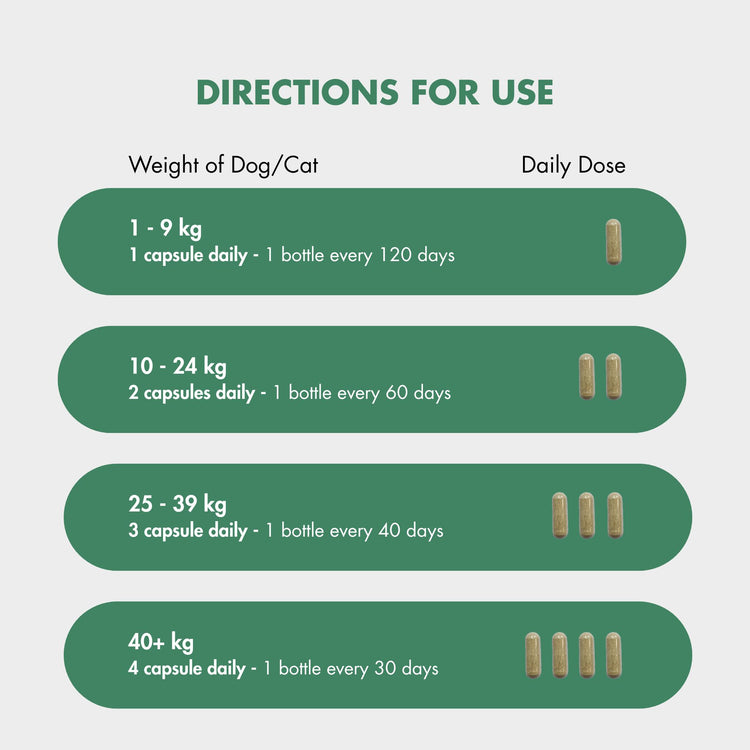 Dosage chart for FlexiPaw’s green-lipped mussel canine joint supplement, detailing capsule counts and bottle usage frequency for small (1-9 kg), medium (10-24 kg), large (25-39 kg), and giant dogs and cats (40+ kg).