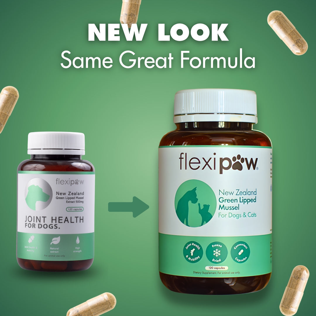 FlexiPaw New Look bottle, showing transition from 'Joint Health for Dogs' to 'New Zealand Green Lipped Mussel For Dogs & Cats'. Highlights 120 capsules, freeze-dried formula, and joint mobility benefits.