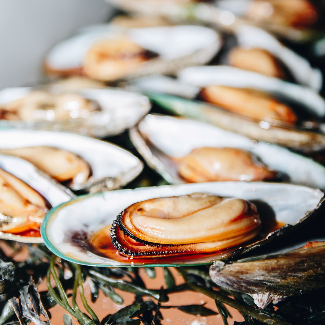 A close-up shot of several plump green lipped mussels in their shells, glistening. The mussels are arranged in a row, showcasing their golden-brown flesh. The image is set against a backdrop of fresh seaweed.