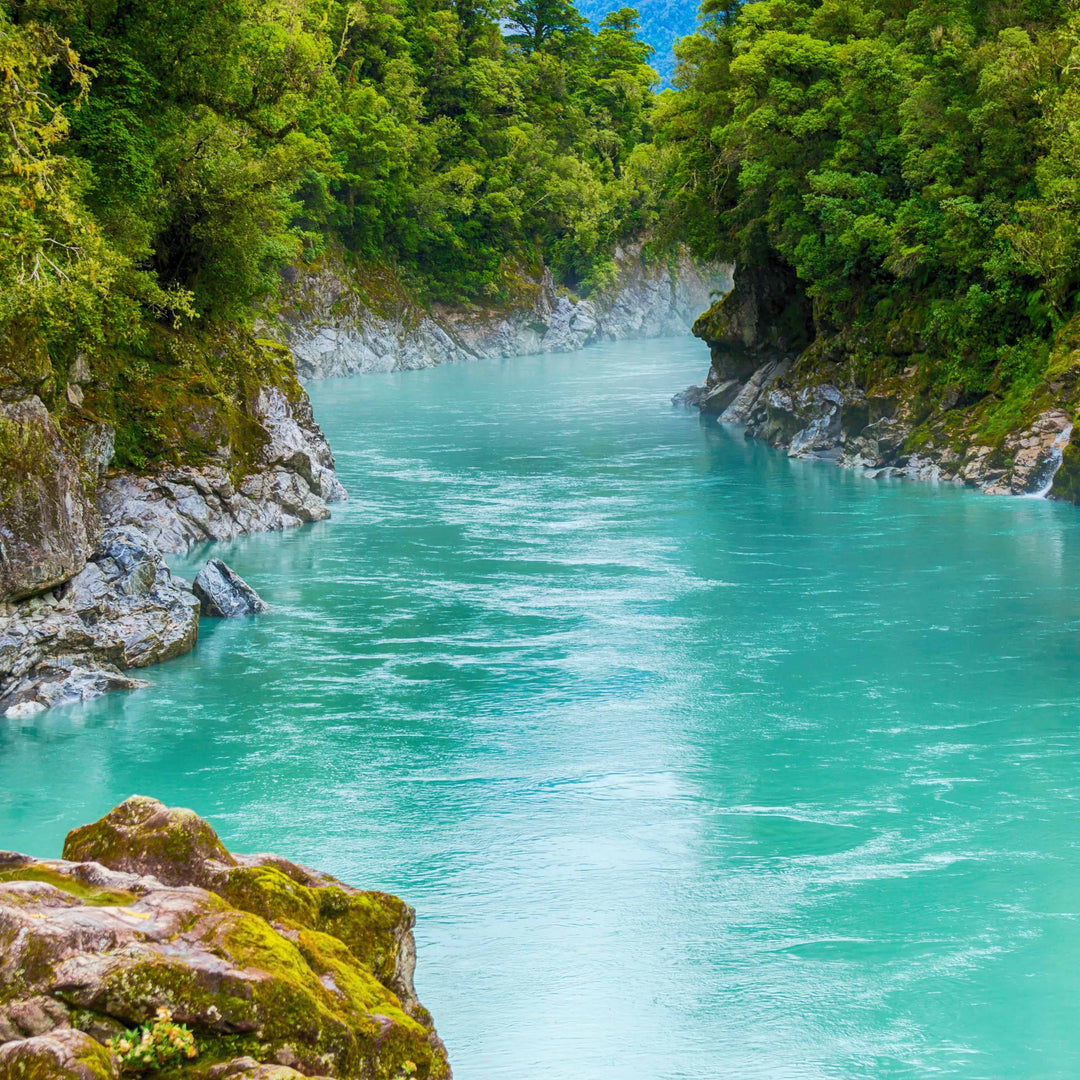 Turquoise water in the Hokitika Gorge, New Zealand, surrounded by lush green native trees and moss. 