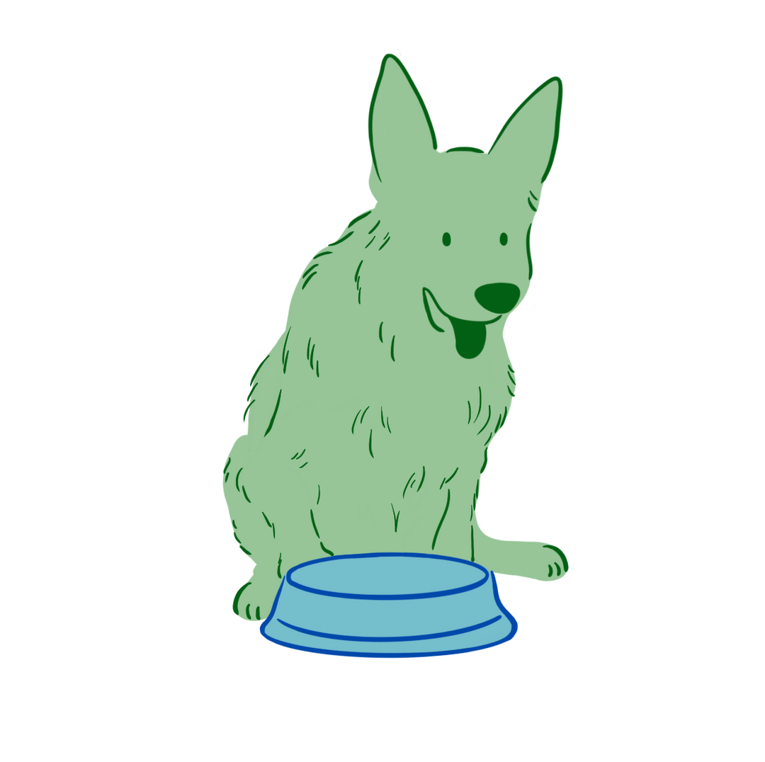 Cartoon drawing of a dog sitting in front of a dog bowl. 