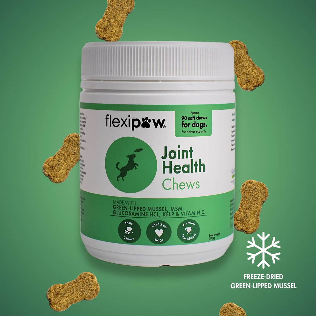 Bottle of FlexiPaw Joint Health Chews for dogs surrounded by brown bone-shaped chew supplements containing green-lipped mussel powder, glucosamine HCl, kelp powder, vitamin C, and MSM.