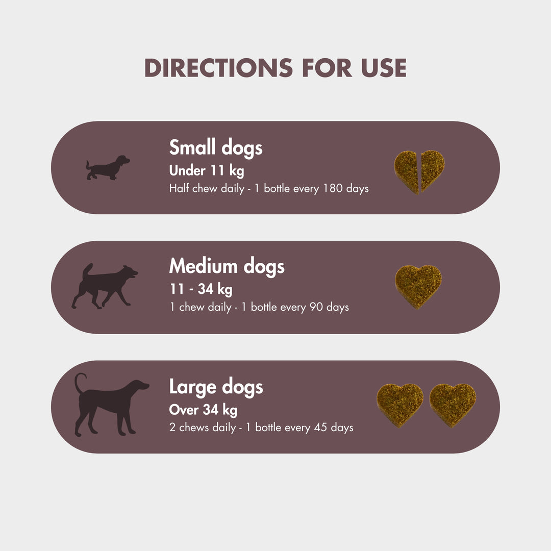 FlexiPaw Multivitamin Chews for Dogs - Dosage Chart for Small, Medium & Large Breeds