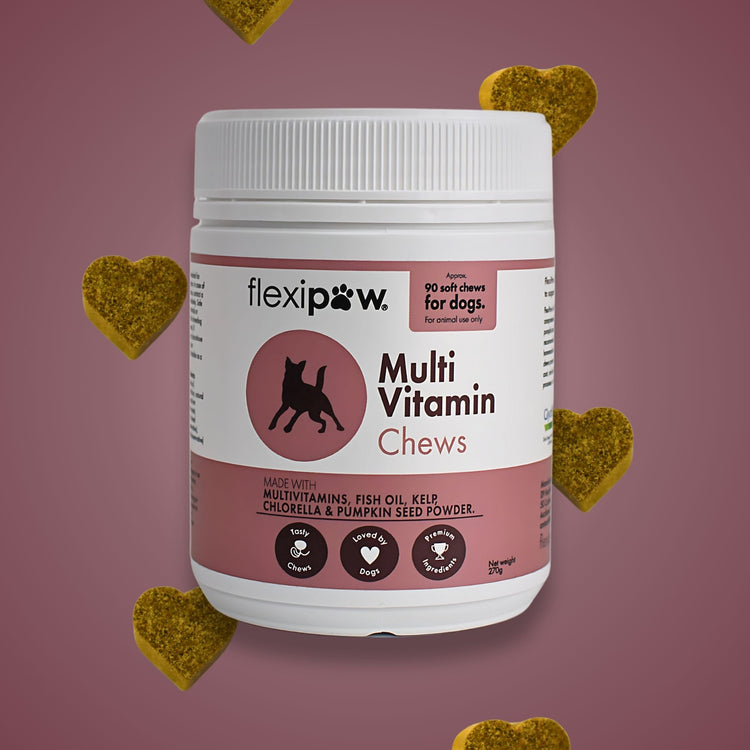 New FlexiPaw MultiVitamin Chews for dogs, 90 soft chews container with fish oil, multivitamins, and pumpkin seed powder on a pink background with heart-shaped chews.