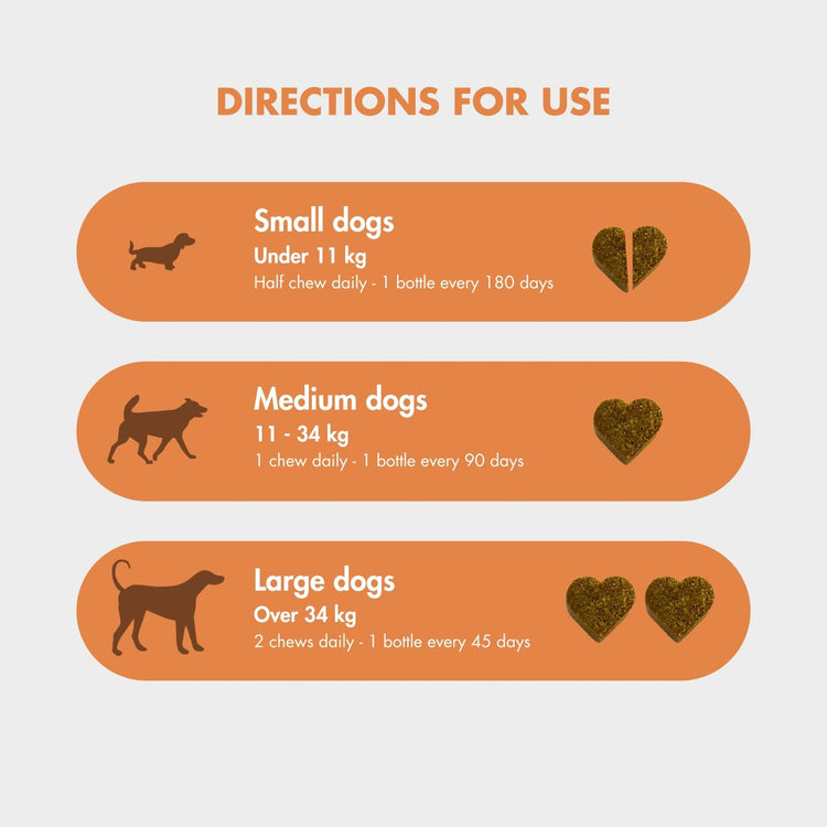 FlexiPaw Probiotic Gut Health Chew for dogs, with dosage instructions based on dog size. Small dogs under 11 kg take half a chew daily, medium dogs 11-34 kg take one chew daily, and large dogs over 34 kg take two chews daily. The image shows three dog silhouettes representing different sizes alongside heart-shaped chews to indicate dosage. Not for breeding or pregnant animals.