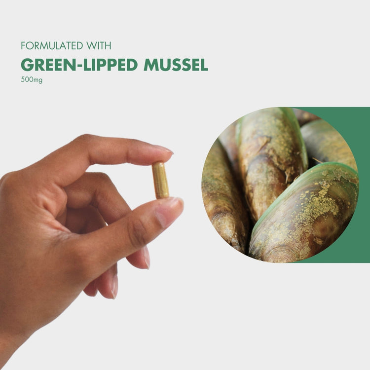 Flexipaw Green Lipped Mussel Extract 500mg capsule for dogs, held between fingers, with an inset close-up image of raw green-lipped mussels.